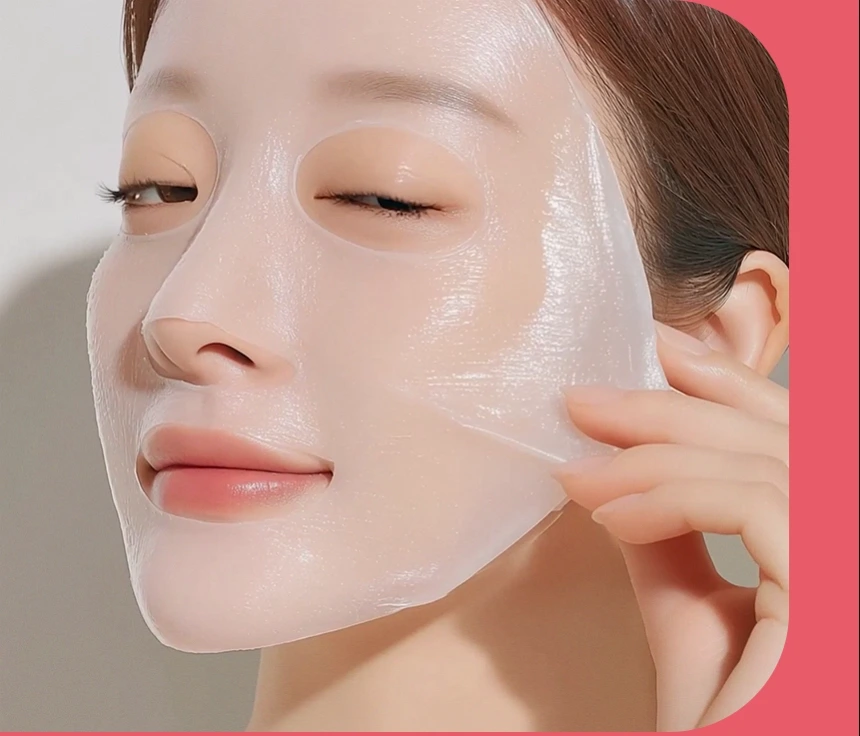 웹사이트 개발 과정