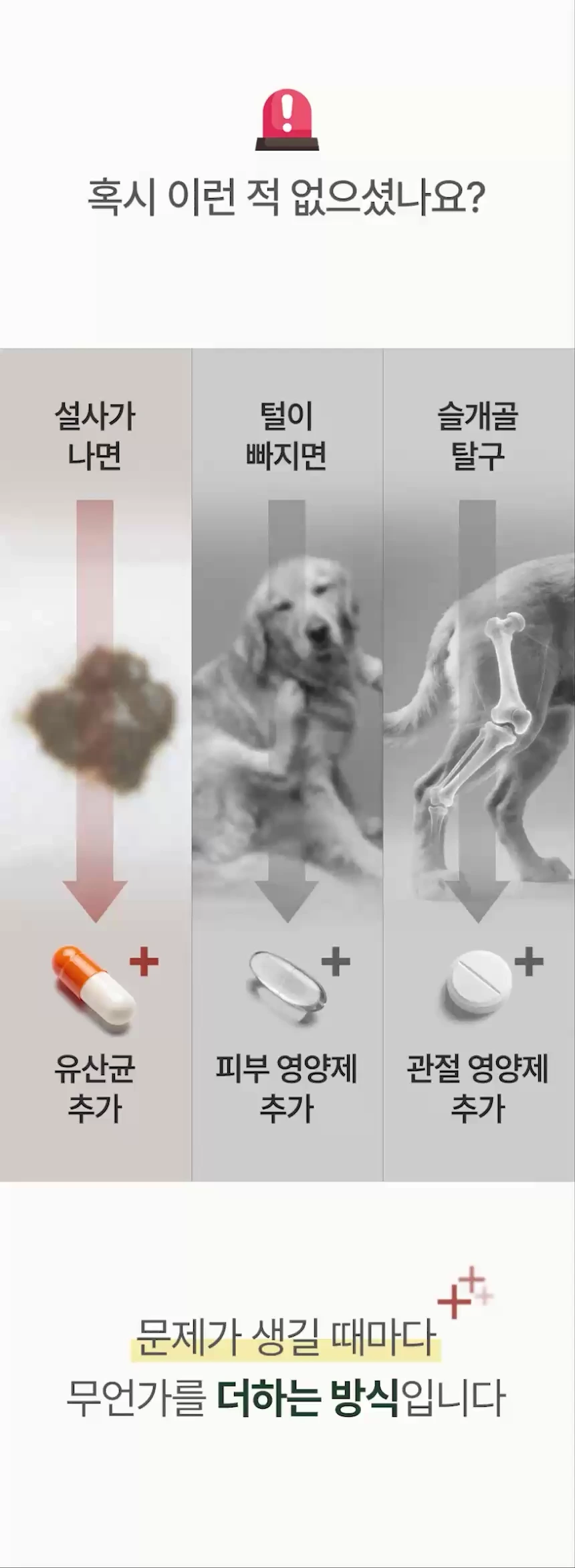 cellbipet.com/올인원-for-dog 상세 이미지 4