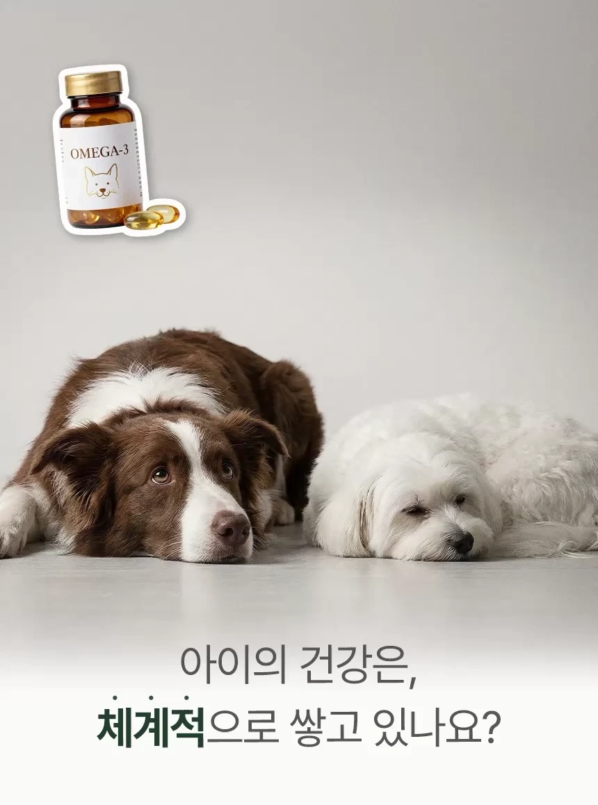 cellbipet.com/올인원-for-dog 상세 이미지 5