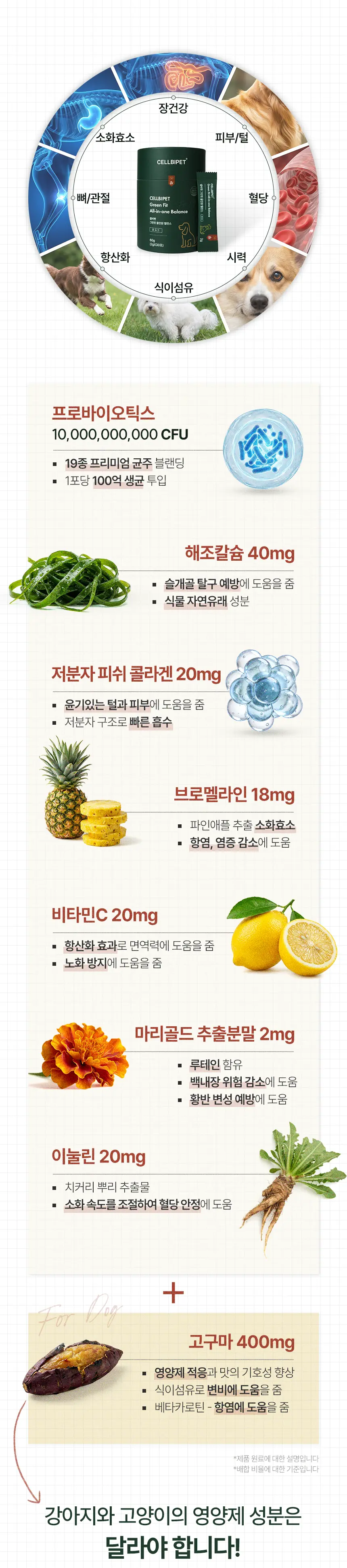 cellbipet.com/올인원-for-dog 상세 이미지 8