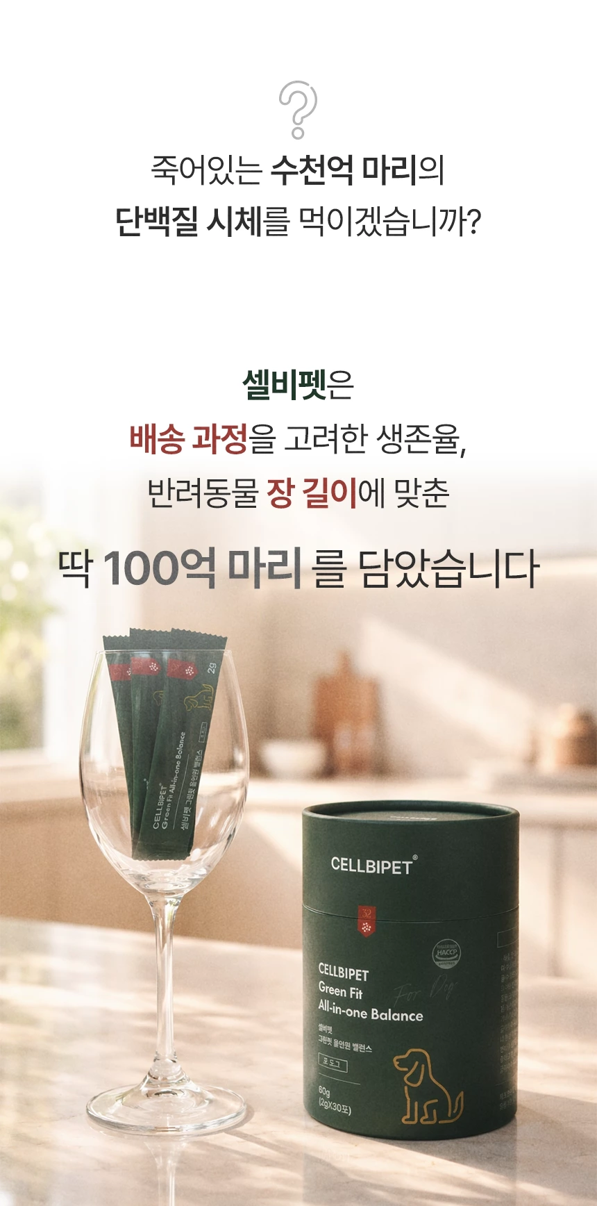 cellbipet.com/올인원-for-dog 상세 이미지 14
