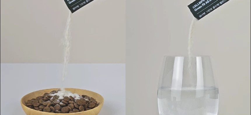 cellbipet.com/올인원-for-dog 상세 이미지 21