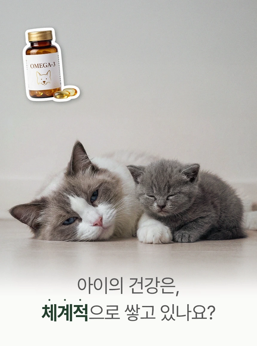 cellbipet.com/올인원-for-cat 상세 이미지 5