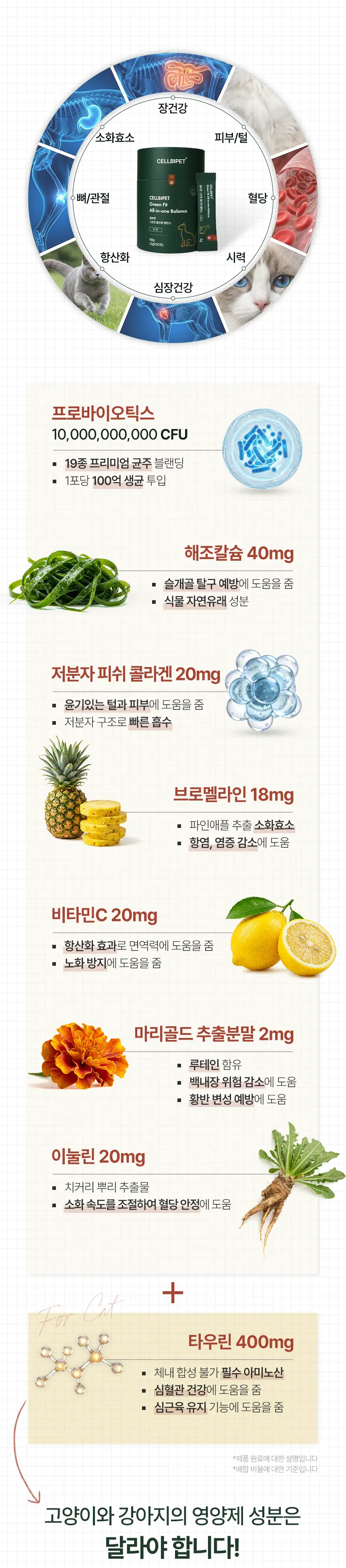cellbipet.com/올인원-for-cat 상세 이미지 8