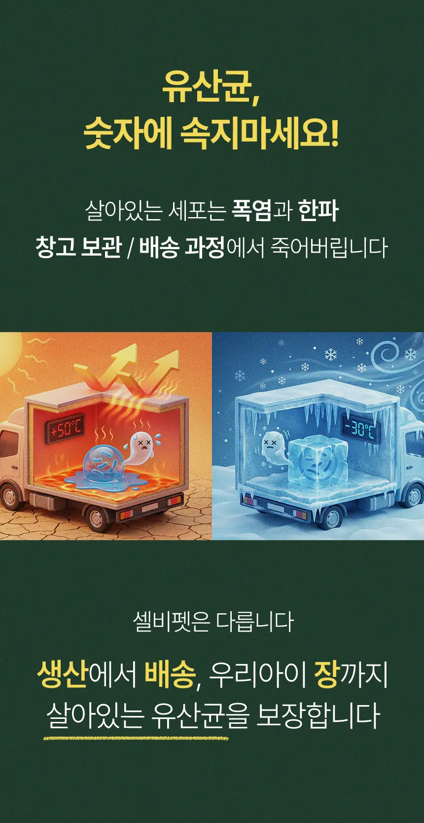 cellbipet.com/올인원-for-cat 상세 이미지 10