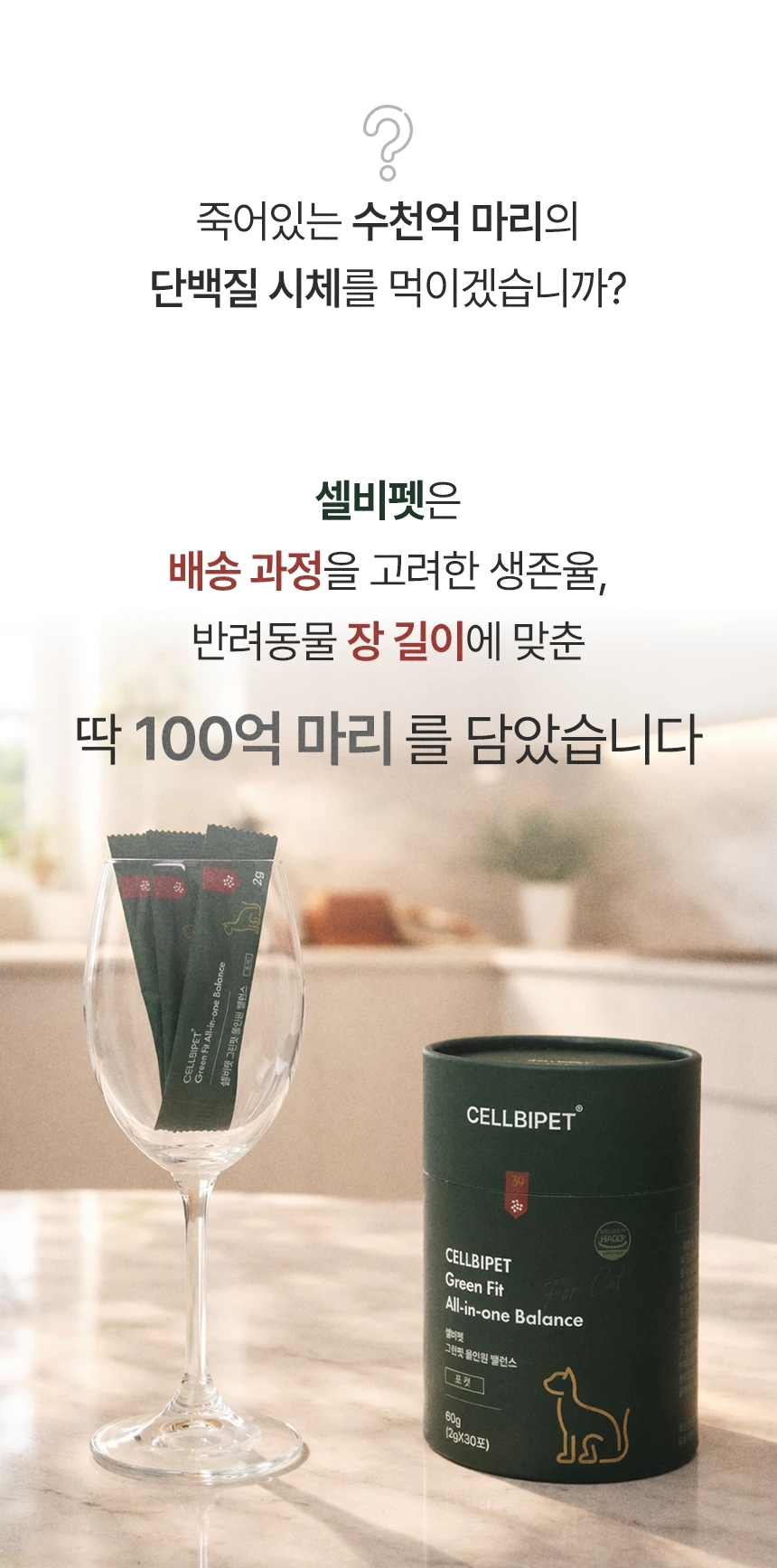 cellbipet.com/올인원-for-cat 상세 이미지 14