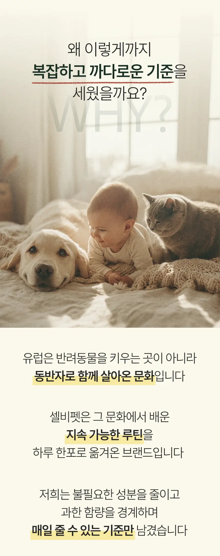 cellbipet.com/올인원-for-cat 상세 이미지 18