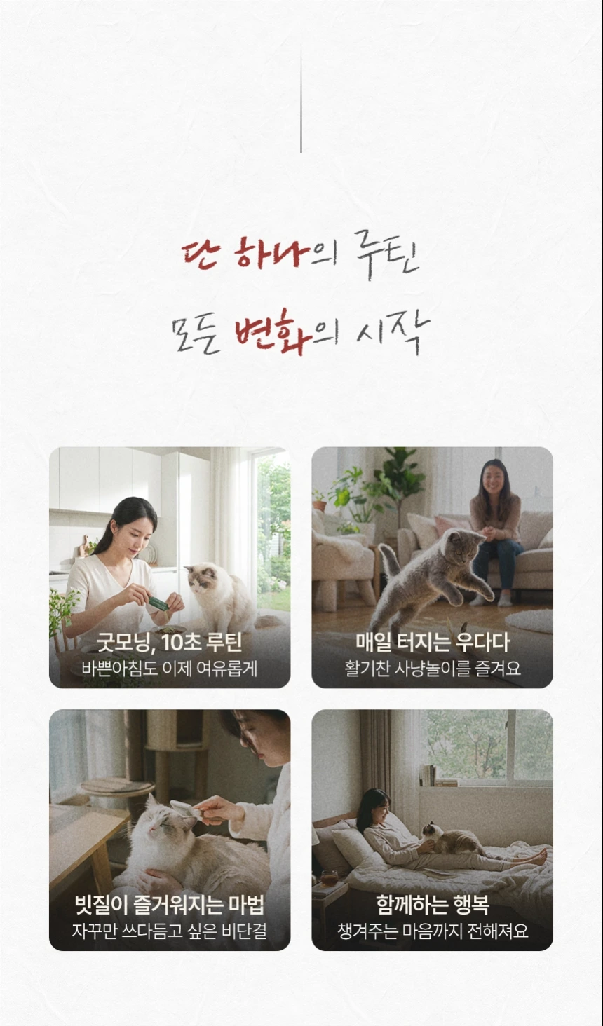 cellbipet.com/올인원-for-cat 상세 이미지 25
