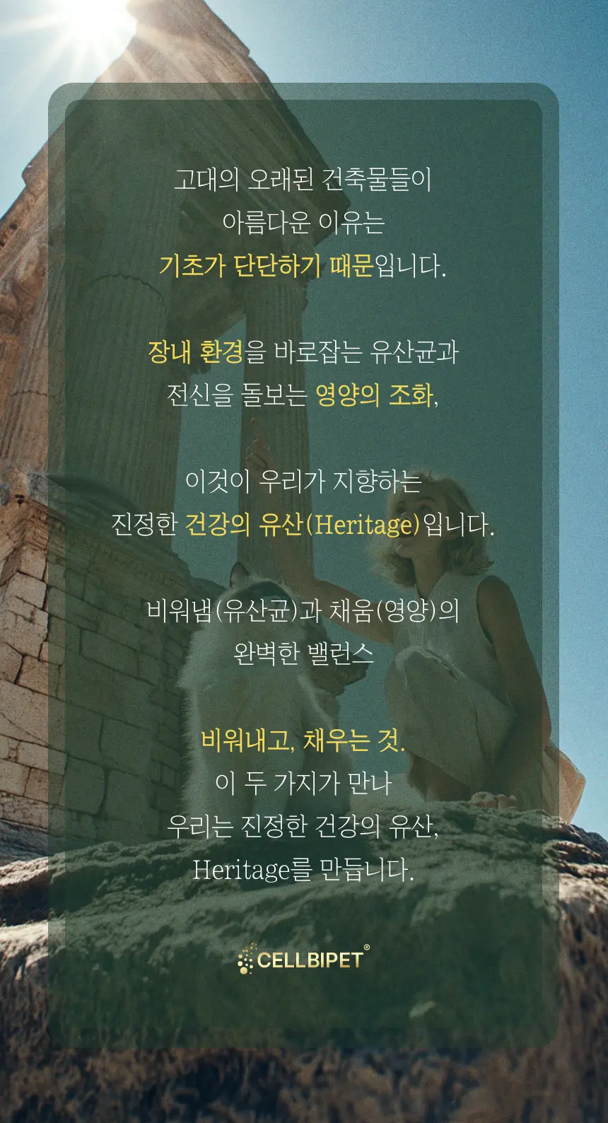 cellbipet.com/올인원-for-cat 상세 이미지 27