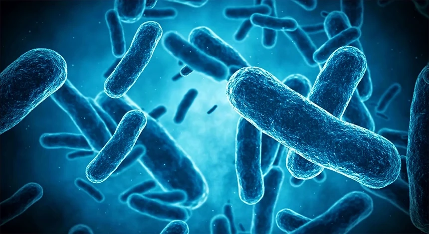 umebe.com/브랜드스토리 상세 이미지 42