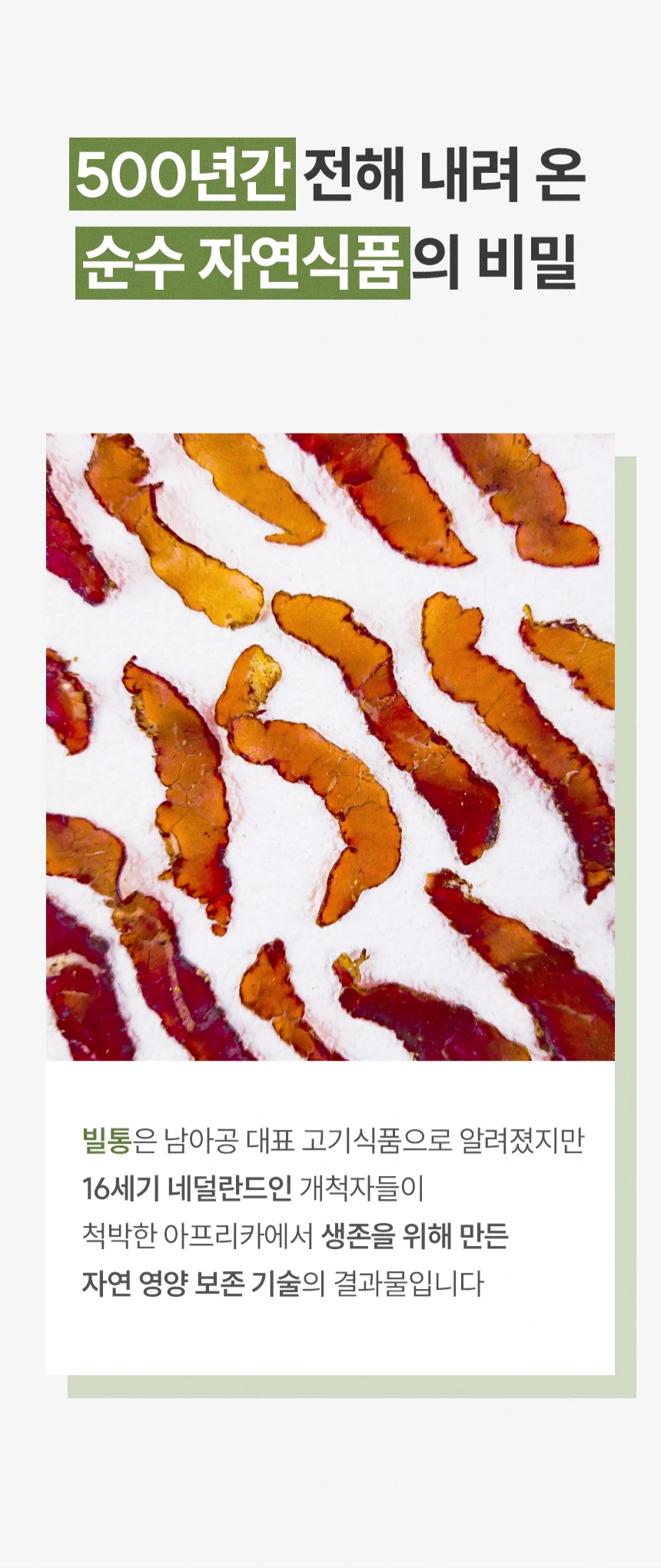 카니비비안 베이비빌통 상세 이미지 11