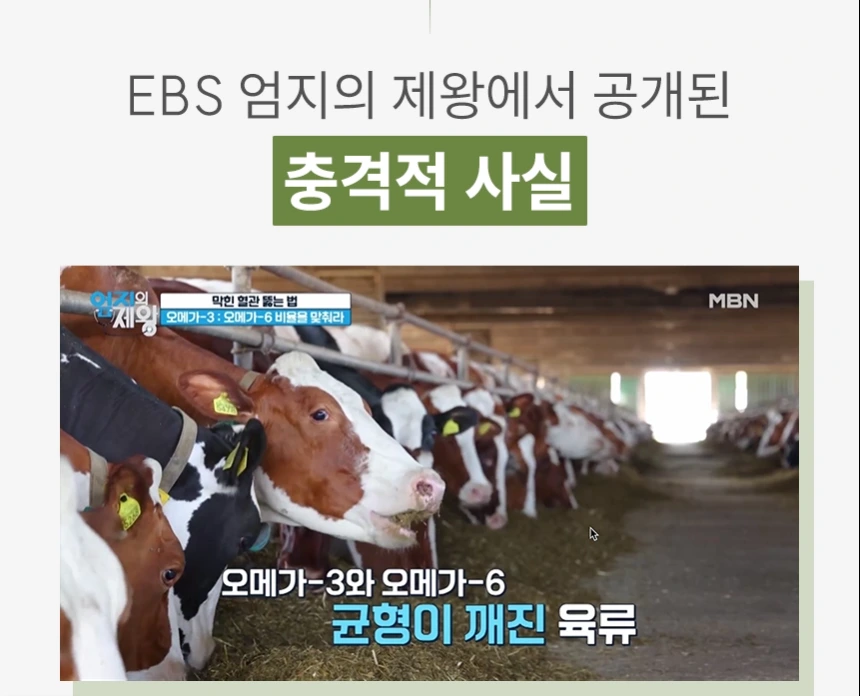 카니비비안 베이비빌통 상세 이미지 15